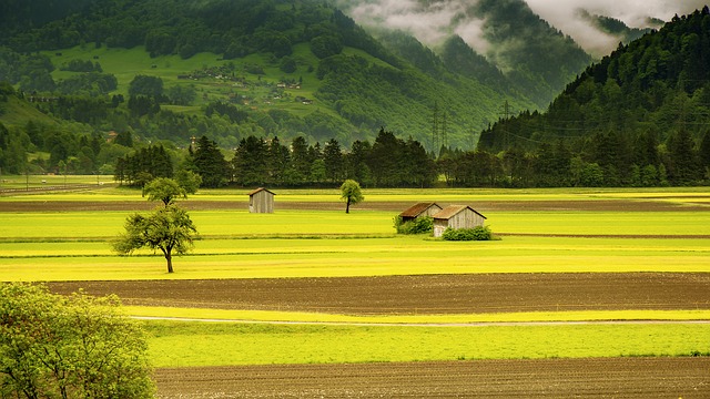 field-176602_640