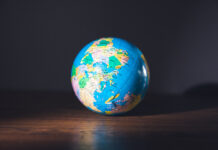 Domestic Private Companies Require Global Expertise globe